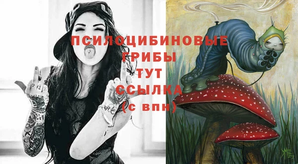 spice Мегион