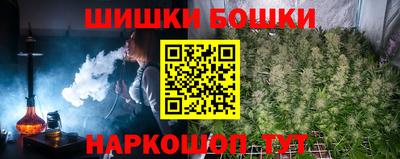 Альфа ПВП Бийск