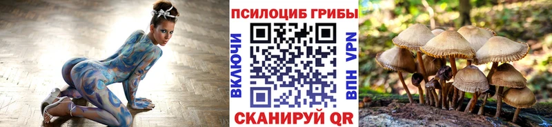 Галлюциногенные грибы Magic Shrooms  Бийск 
