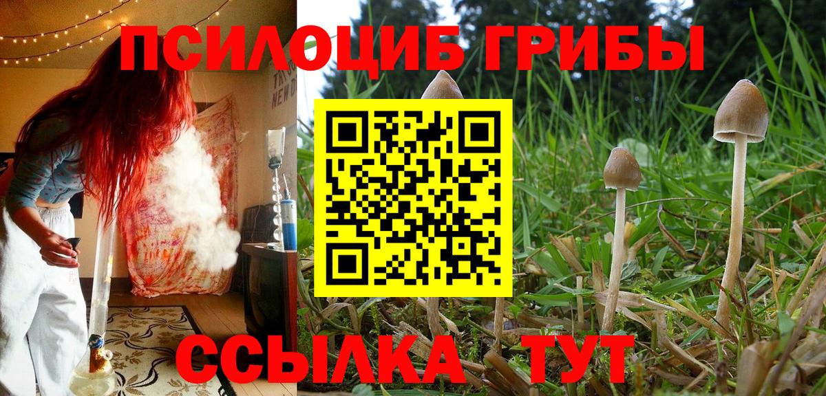 Галлюциногенные грибы мицелий  Бийск  Псилоцибиновые грибы Magic Shrooms 