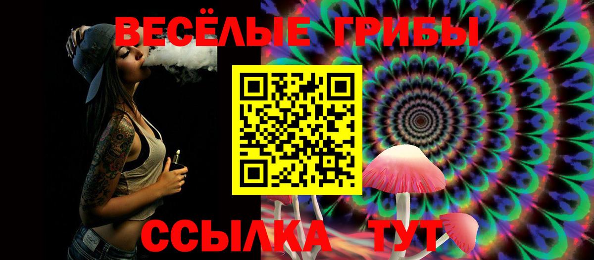закладка  Галлюциногенные грибы Cubensis  Вход с VPN  Псилоцибиновые грибы Cubensis  Бийск 